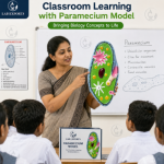 Paramecium Model